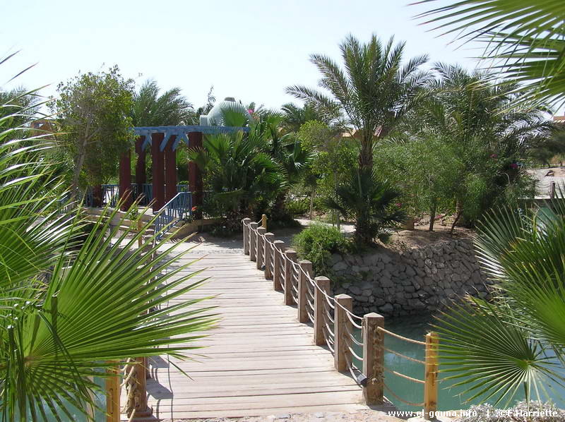 Hotel Sheraton Miramar Resort El Gouna 9220017